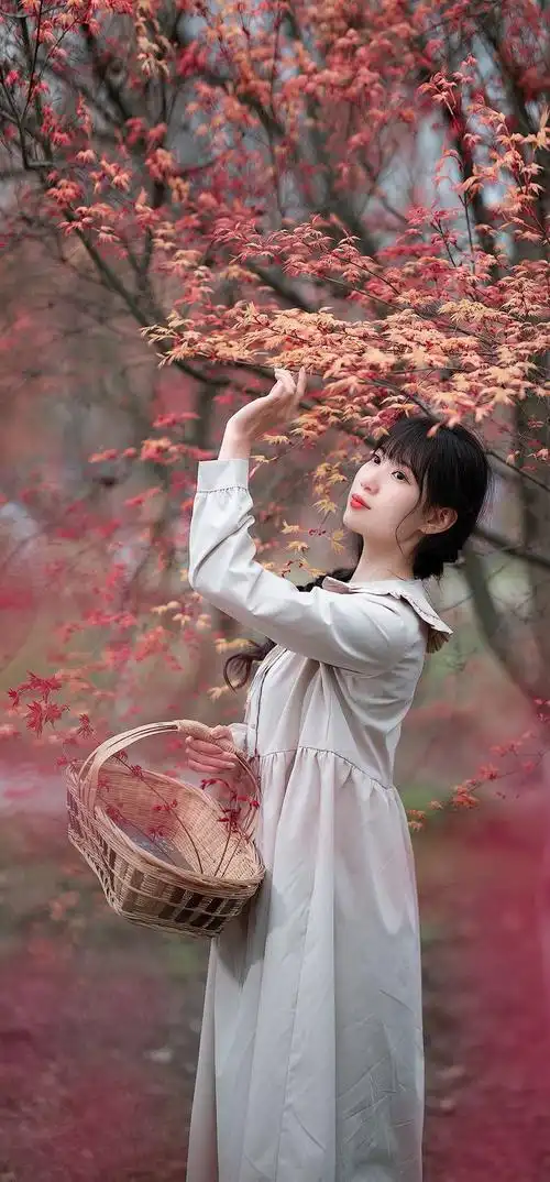 最后一片枫叶,容我迷醉在你我最美的回忆里