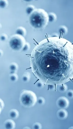 冠状病毒,3d渲染图片