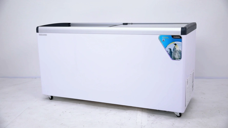 cooling freeze refrigerator restaurant supermarket fefrigeration