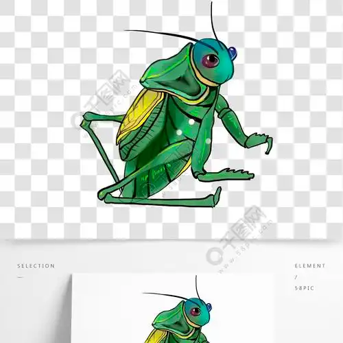 卡通手绘蝈蝈插画