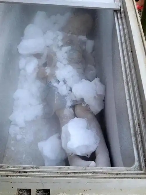 回顾女子裸死酒店,法医鉴定为突发疾病,6年后查出是被警察杀害