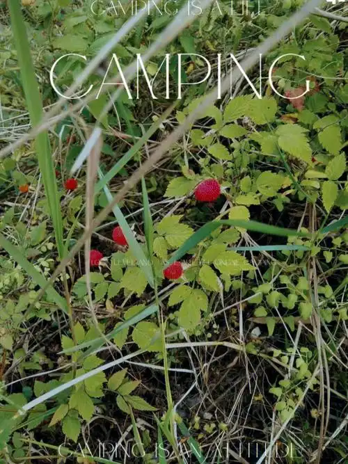 儿时山上的野果农村孩子的生活边角料