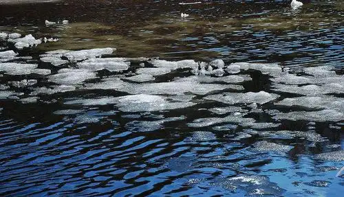 小河里,春日的到来, 封冻了一整个冬天的小河里厚厚的冰,开始慢慢融化
