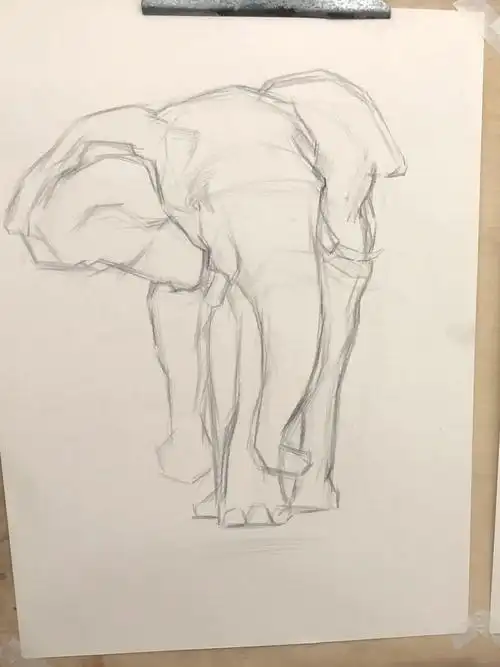 课堂示范一个半小时作业大象