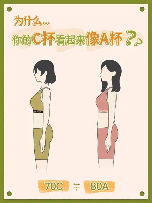 70c看起来和80a差不多大?74你以为每个罩杯都是固定大