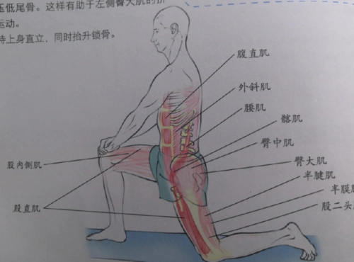 跪姿髋屈肌伸展式