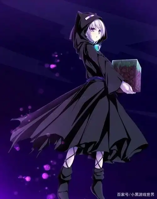 行走在黑夜中的末影人