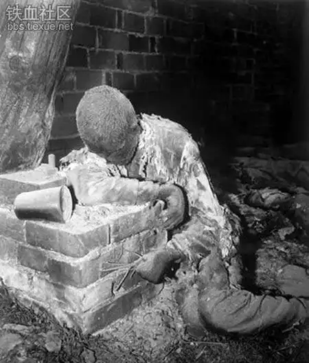 二战纳粹集中营的真实情况|集中营|囚犯|毒气室_新浪新闻