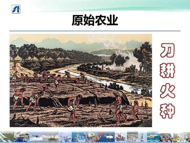 原始农业