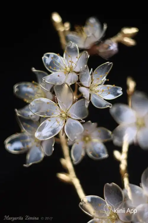 唯美的水晶花俄罗斯珠宝设计师margaritazimina手工制作的水晶花