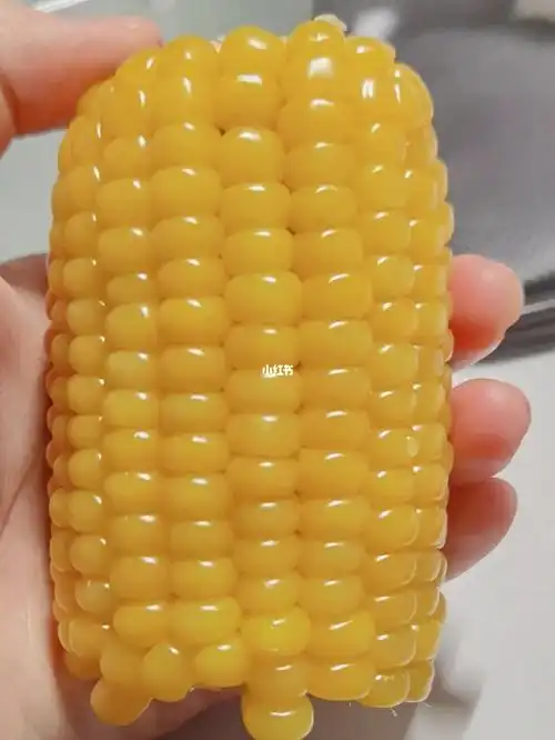 早晚各一根大玉米棒子会胖嘛