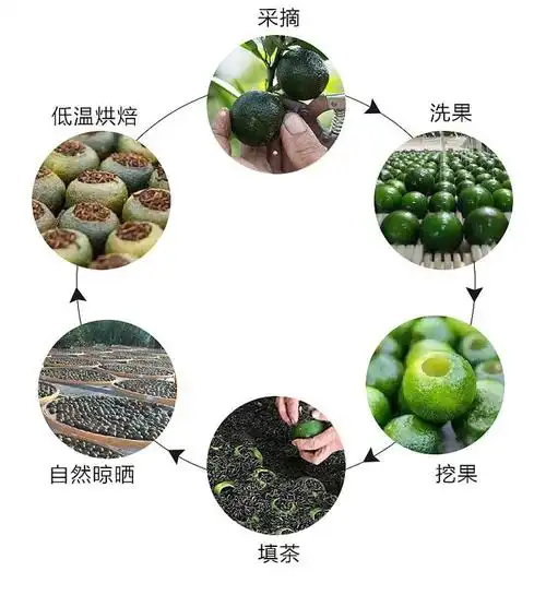 洪勐岩武茶叶小青柑橘普柑橘10年宫廷普洱500g装桔普茶新会陈皮熟茶