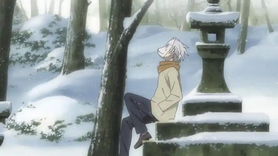 萤火之森图片(这部曾让人) - 赤虎壹号