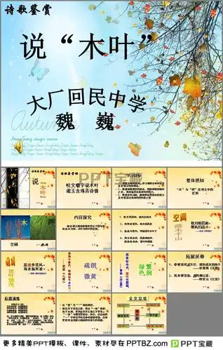 介绍说木叶学案设计ppt