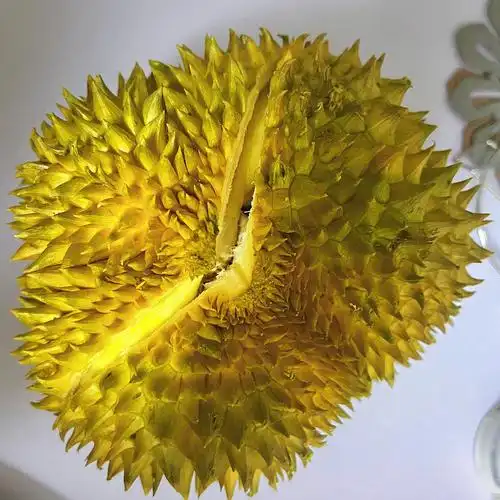 8一斤,总重2041g,出肉888g(真是好意头),出肉率43%,还不错呢#开榴莲