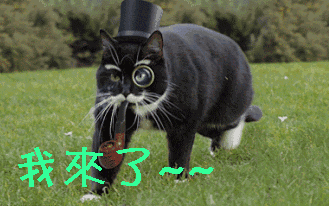 萌宠我来了gif动图_动态图_表情包下载_soogif