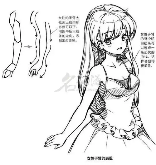 零基础学漫画人物手臂肌肉教程-画师巴士
