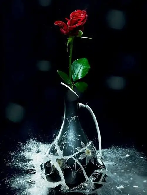 把瞬间定格成永恒的唯美 - 好友 - 好友[daisylaolao]