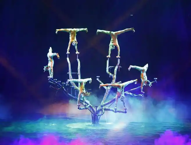 濮阳杂技与美国迪士尼合作 打造"东方杂技演艺之都"