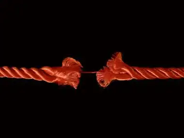 撕破的绳子快要断了,背景是黑色的.绳子用一根线固定着.