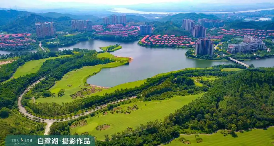 领略湖山风情白鹭湖欢迎您