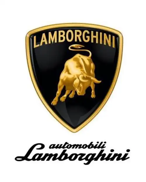 thepowerofcattle兰博基尼