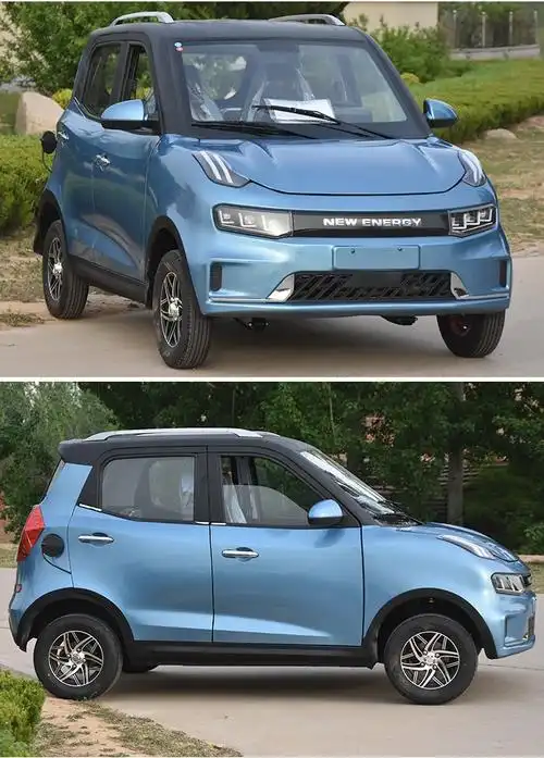 新能源电动汽车成人四轮车家用小型代步电瓶4轮轿车女士油电两用小型