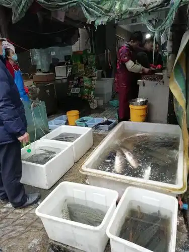 郫县的一条老街:菜市场 花鸟虫鱼 老茶铺