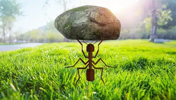 在这个寓言里,获得蚂蚁大力士称号的小蚂蚁达里,在赢得举重冠军后,就