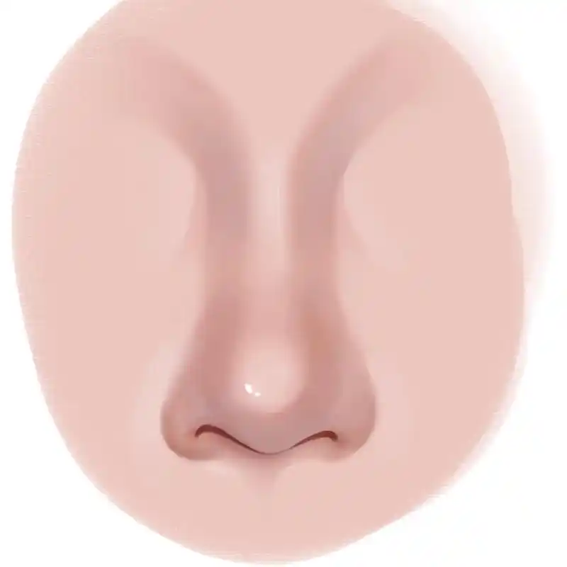 画个正面鼻子.#procreate绘画 #零基础教学 #厚涂 - 抖音