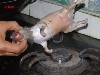 网友贴图自曝残杀老鼠过程引争议组图
