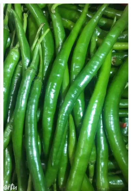 青杭椒  4.78元/斤