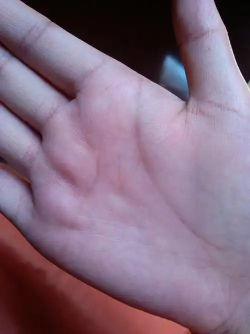 上面那张是手有点弓起来拍的,现在补一张手撑平的手纹,麻烦各位高手再