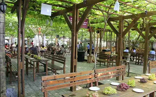 "马陆葡萄园金色果园"的所有分店  葡萄的王国!