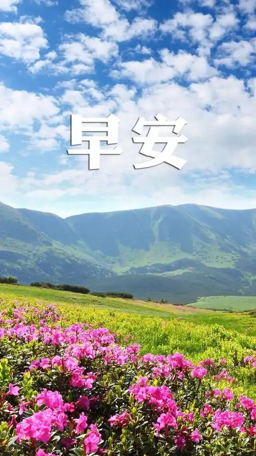 周二早安日常祝福语,清楚问候好友发朋友圈的文案句子