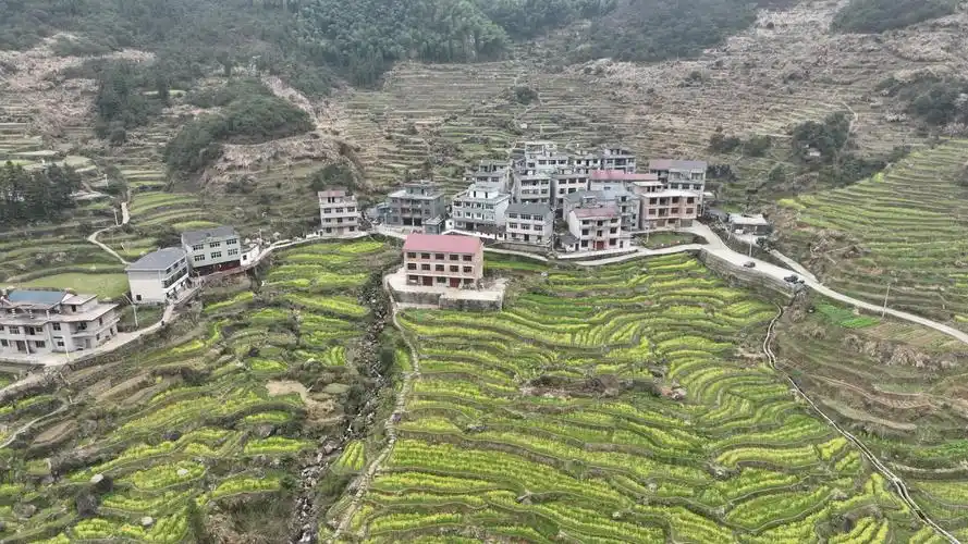 江西上饶 | 梯田花海春意浓 - 知乎