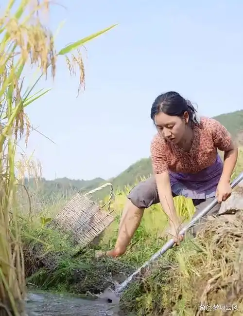 农村女网红靠勤劳创业带动全村经济,影响力超过李子柒
