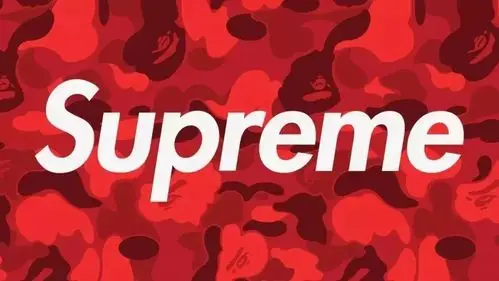 supreme x harmony korine成了纽约首屈一指的潮牌店它的市场价值已