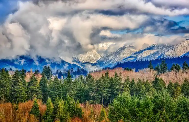 也不奇怪,毕竟加拿大的森林占了全世界森林的十分之一.