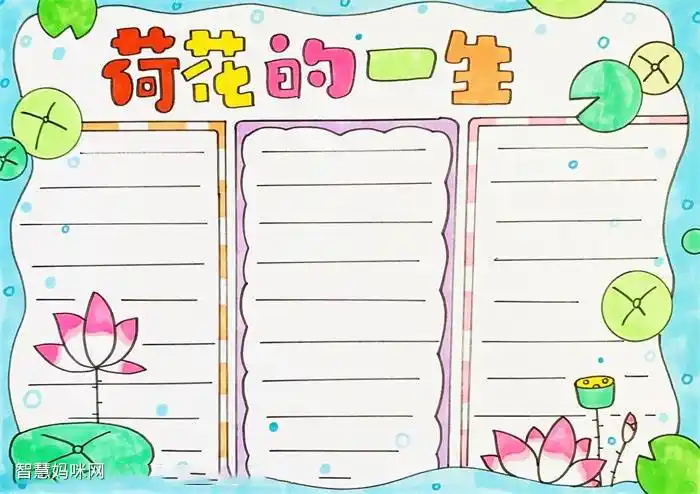怎么画荷花的一生手抄报