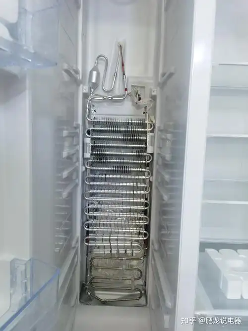 容声冰箱ronshenbcd529wd11hp拆机评测