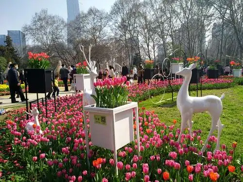 解放公园郁金香主题花展 2021.2.13
