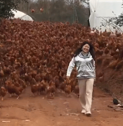 飞来一脚,暂时六亲不认