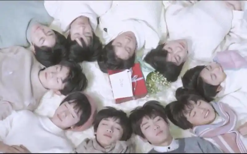 tf家族台风十子