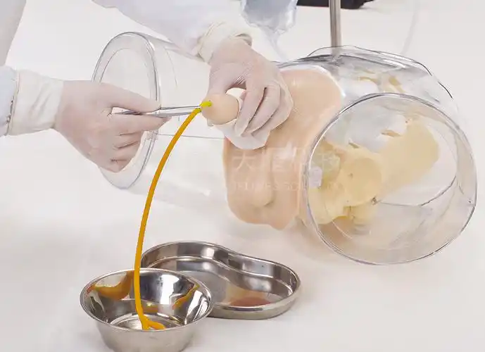 中心资源 - 护理模型——透明男性导尿模型 - 西安交通大学第二附属