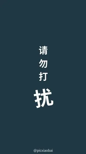简约文字纯色请勿打扰手机壁纸