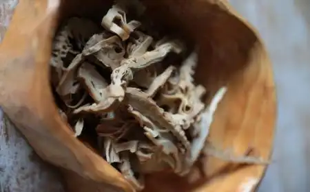 笋干有点发霉能吃吗