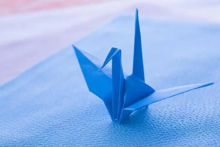 千纸鹤有什么特殊含义