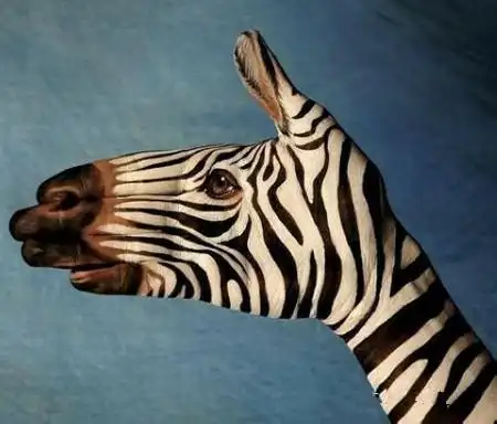 这居然都是手势