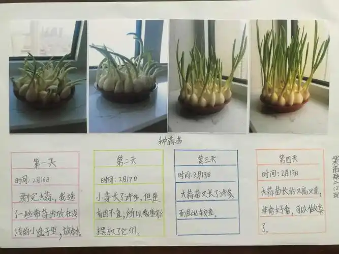 观察生活,丰富寒假